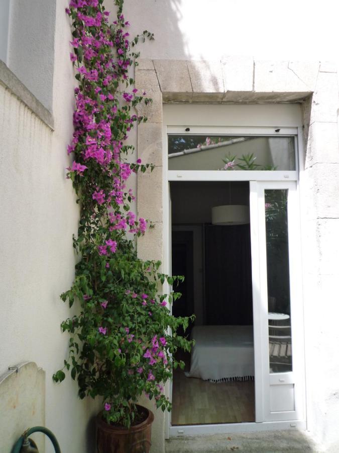 Appartement Avignon Centre Intra Muros Cour Exterieure Parking Prive Gratuit Esterno foto